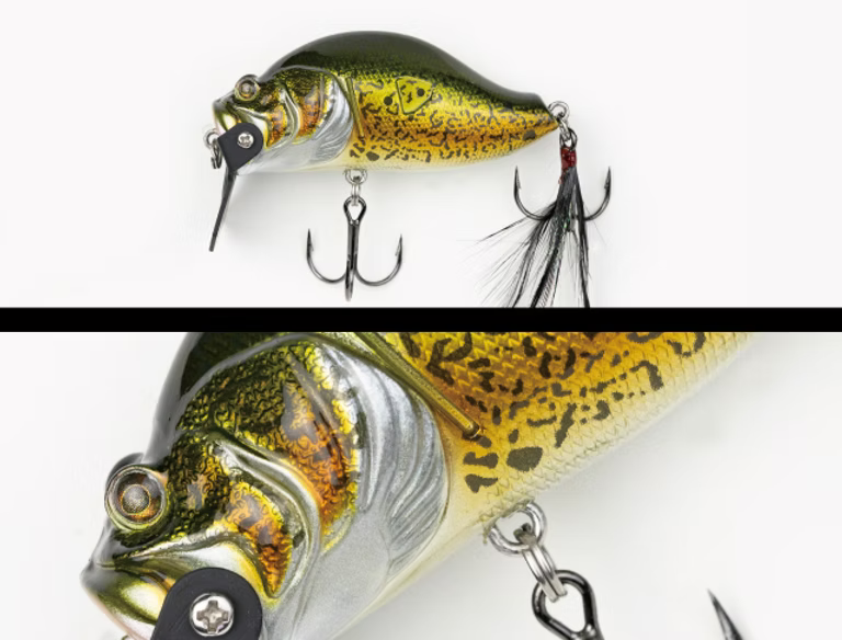 Adusta Zacrawl SC JR