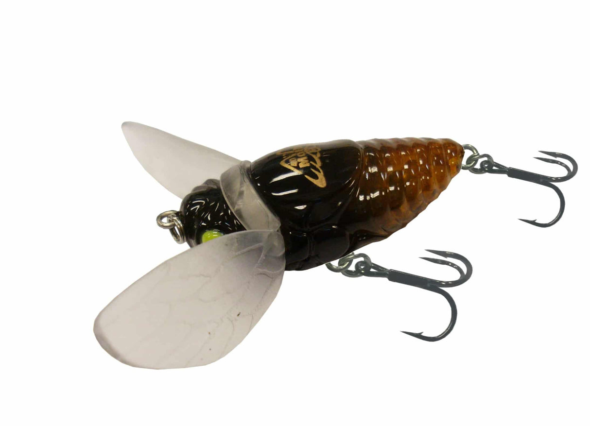 JM Gillies Warlock Moth 40mm