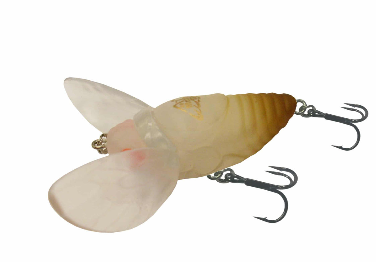 JM Gillies Warlock Moth 40mm