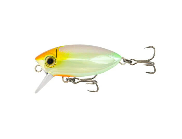 Samaki Redic SF40 Footy Bug