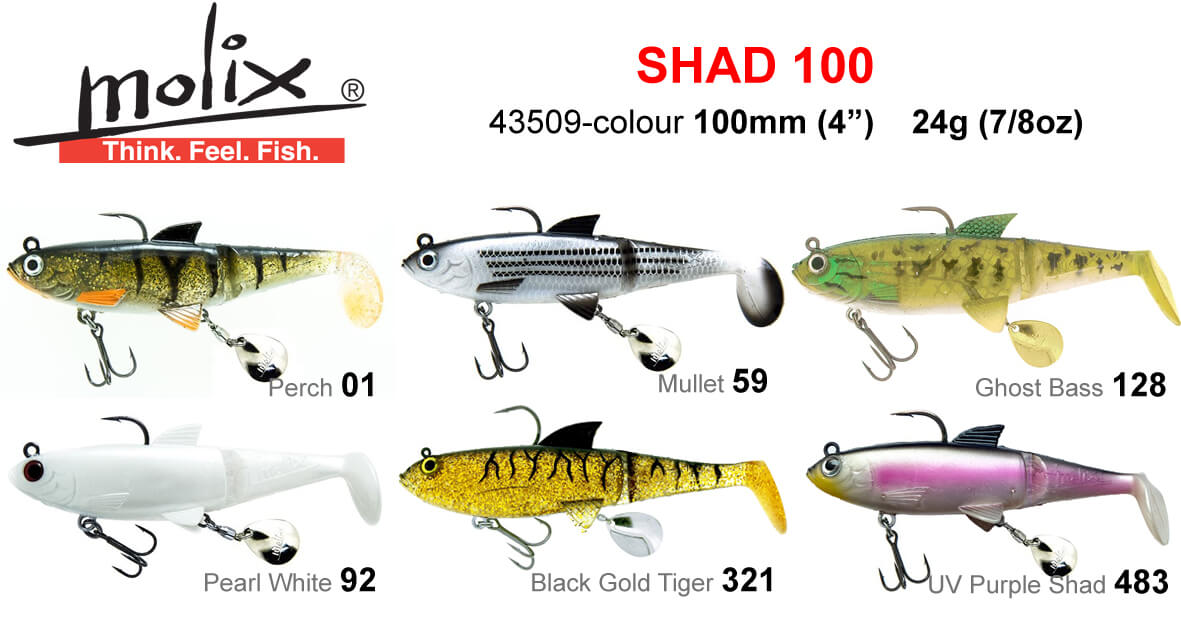 Molix Shad 100mm Rigged Plastic
