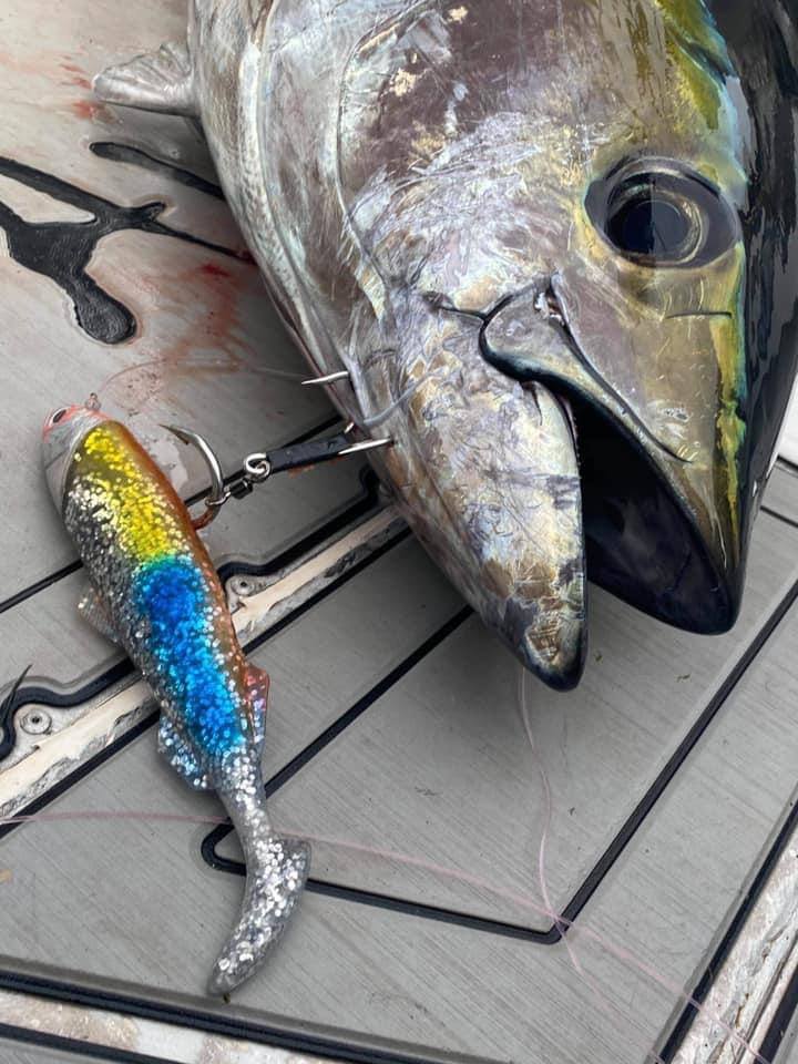 Get Your Trophy Hunter Profidgie Rigged by Hot Tackle