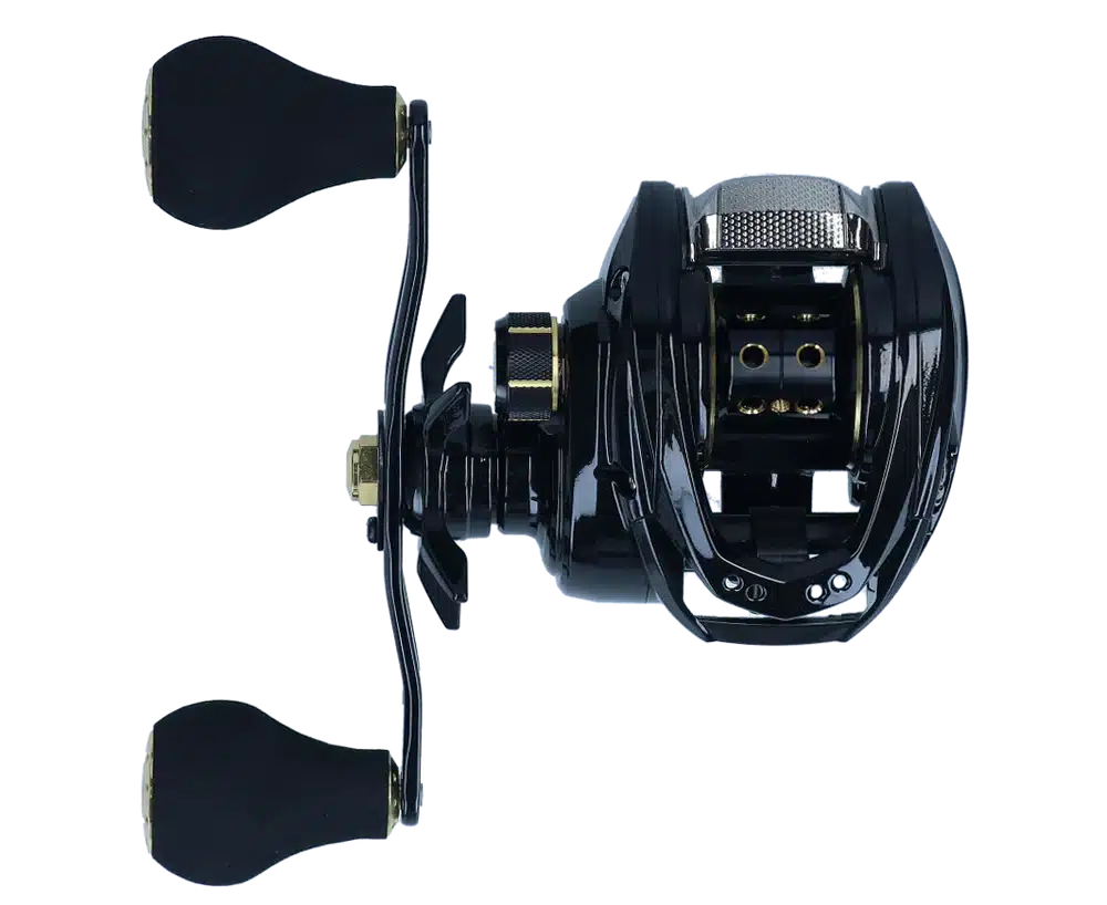Daiwa PT BK Baitcaster Reel