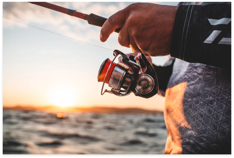 Daiwa 24 Certate LT Reel