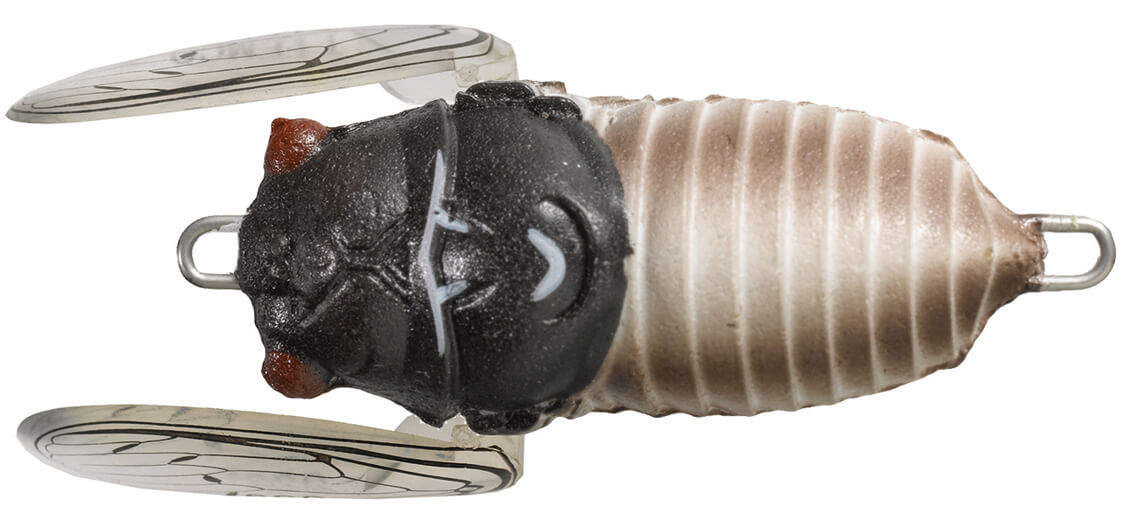 Tiemco Soft Shell Cicada EVO Floating 5g 42mm