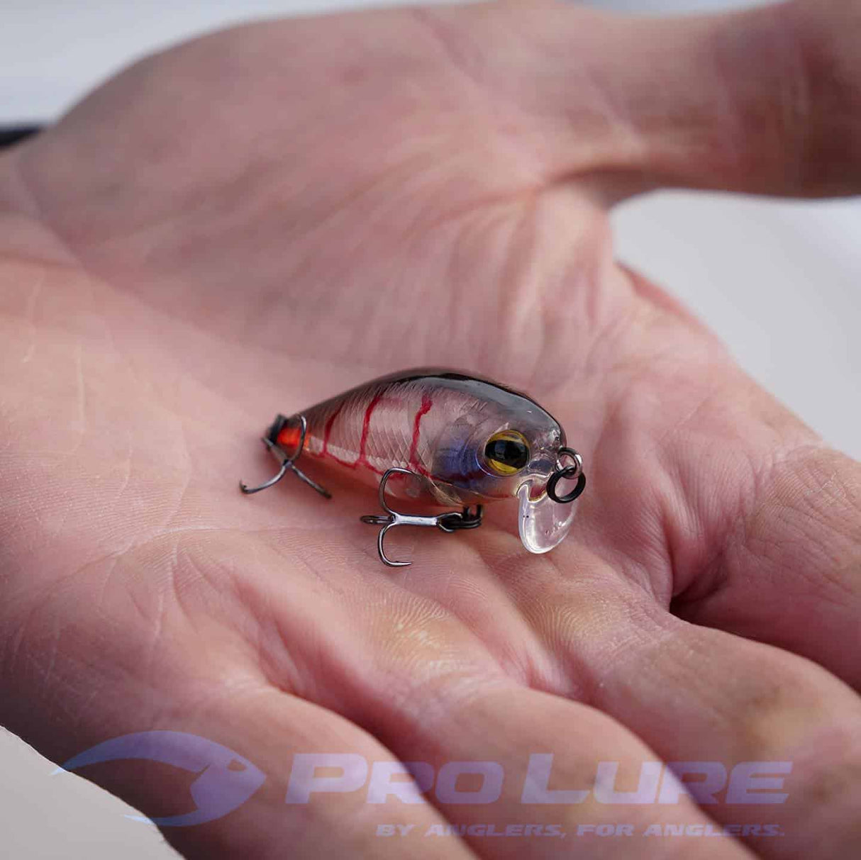 Prolure XS36 Extra Shallow 36mm Crank Lure