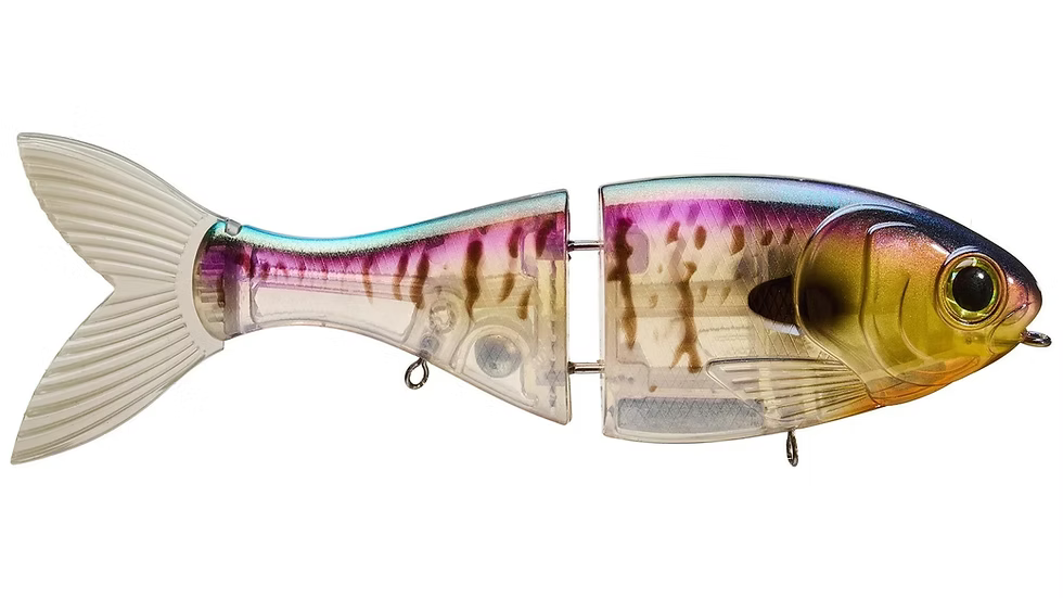 Bucca Trick Shad 6in Lure