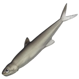 Ever Green Last Ace 168mm 26.5g