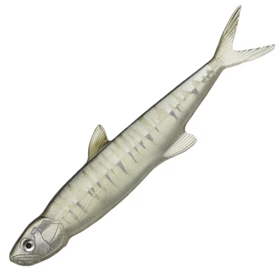 Ever Green Last Ace 168mm 26.5g