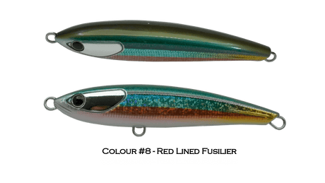 No 8 Red Lined Fusilier