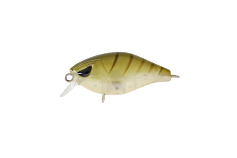 Hurricane Fat 37mm Shallow