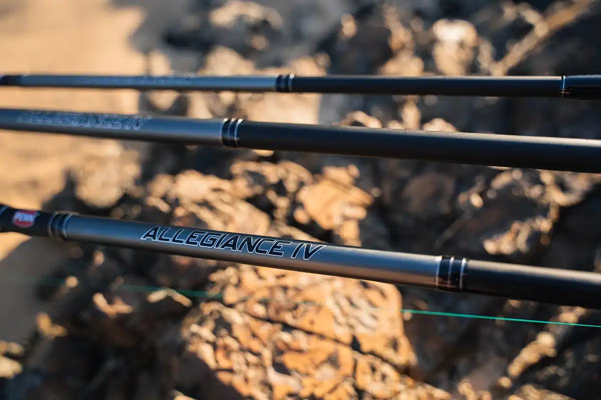 Penn Allegiance IV Rock/Surf Rods