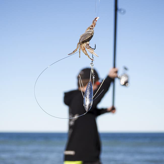 Black Magic Bait Buddy 3 Pack