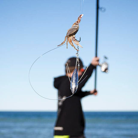 Black Magic Bait Buddy 3 Pack
