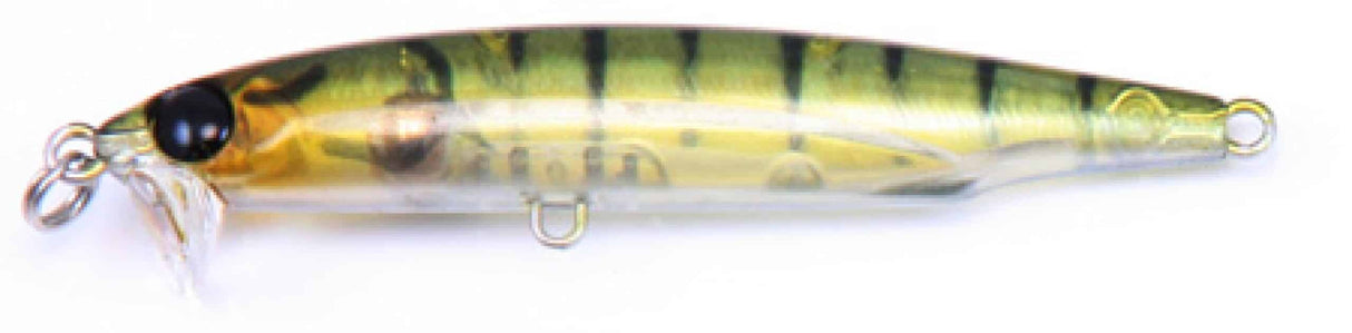 Bassday Beat Eat 55mm