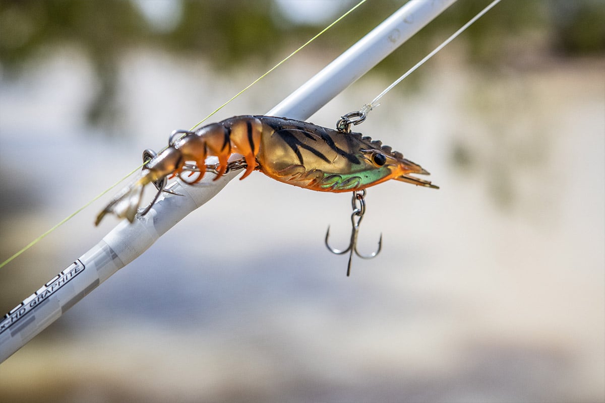 Berkley Shimma Shrimp 150mm