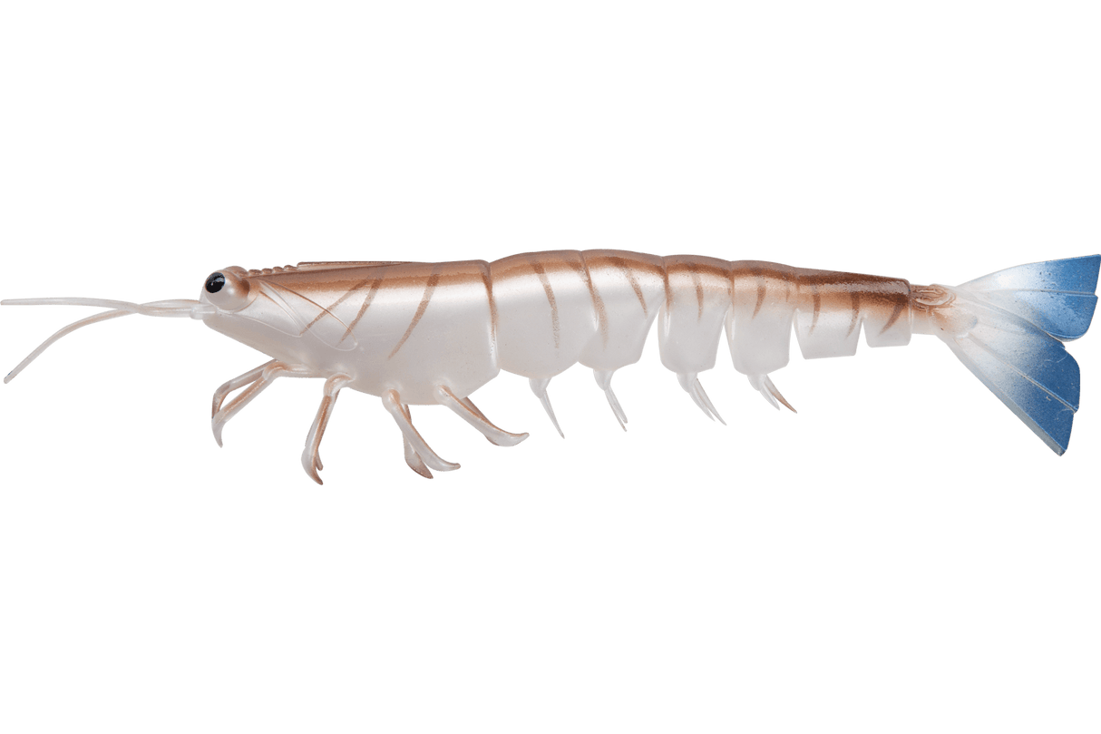 Irukandji Megaprawn 210mm 58.5g Unrigged 2pc