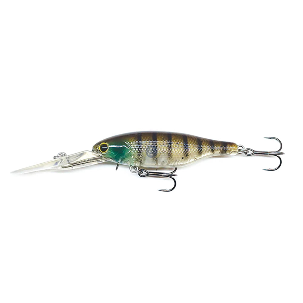 Barambah Boondi Bros 62 DSS