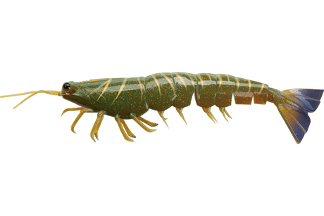 Irukandji Megaprawn 210mm 58.5g Unrigged 2pc