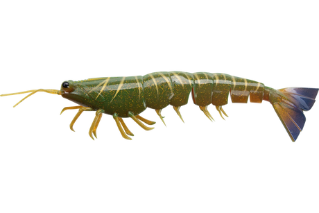 Irukandji Megaprawn 100mm 7.3g Unrigged 2pc