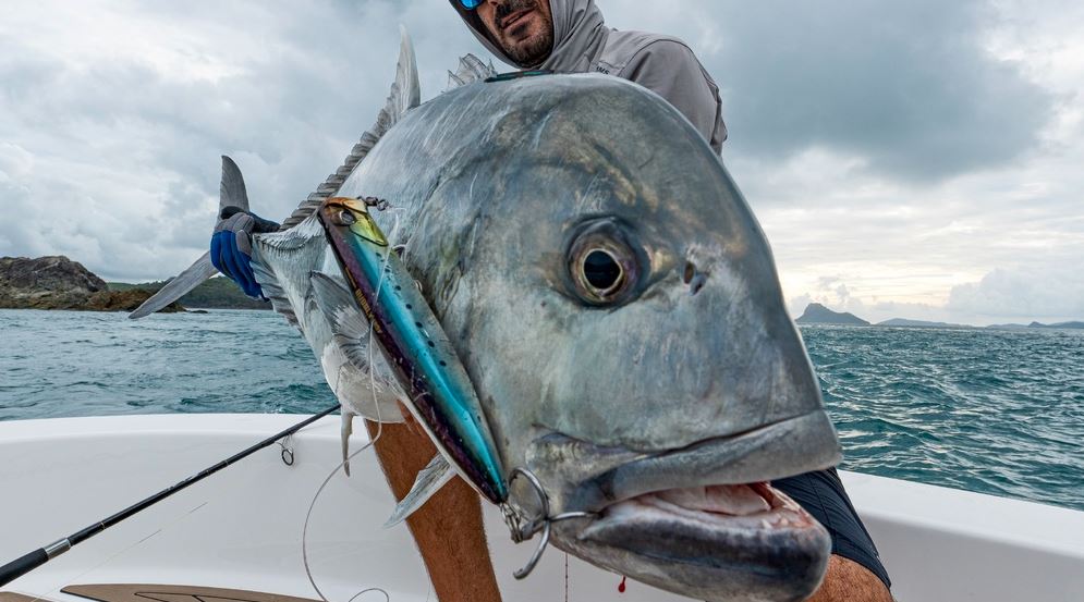 Duo Rough Trail Bubbly 185F Floating Popper