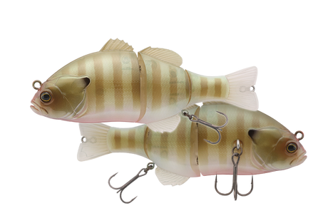 Jackall Chibitarel Dead Rise Swimbait