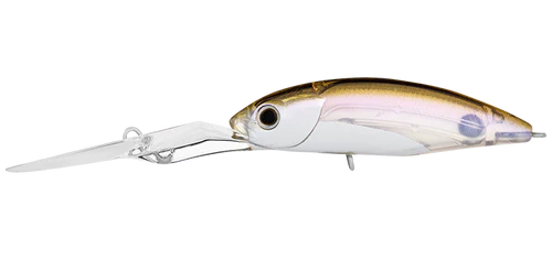 Daiwa Infeet Spike 53EXDR Lure