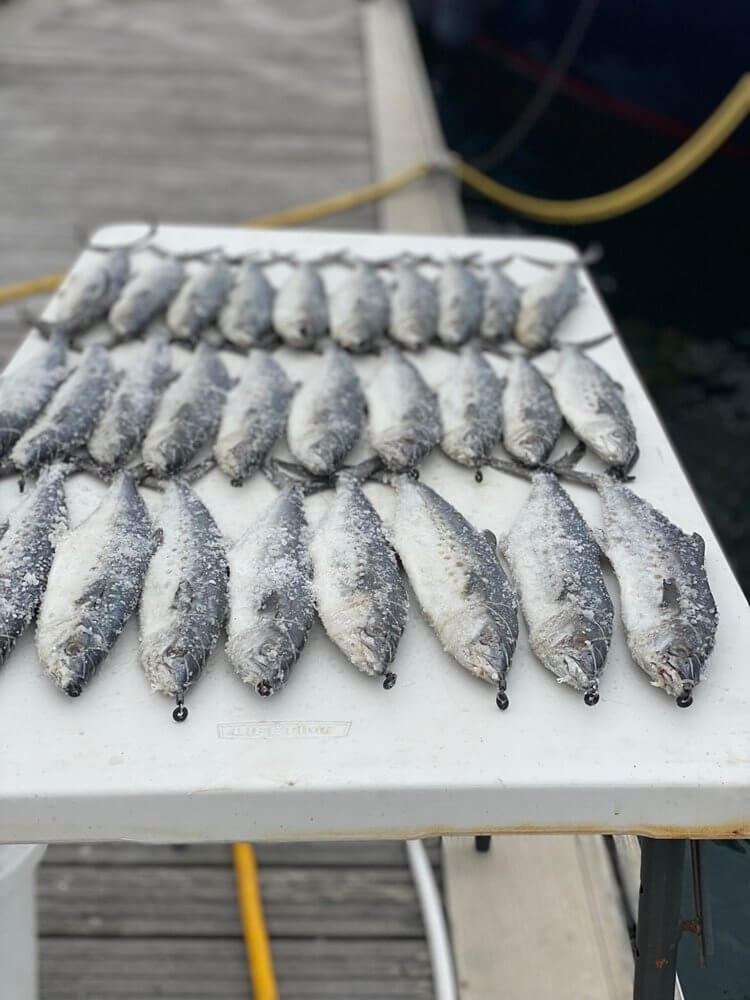 Turner Tackle Ringer Swivels Size 5 Qty 5