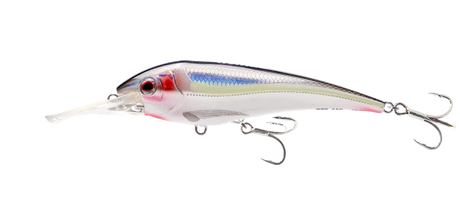 Nomad DTX Minnow Shallow Floating 145mm