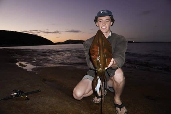 Oceans Legacy Dream Cast Squid Seeker Rod