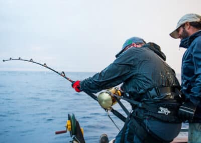 Black Magic Equalizer Set