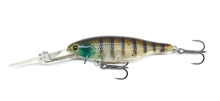 Barambah Boondi Bros 62 DSS