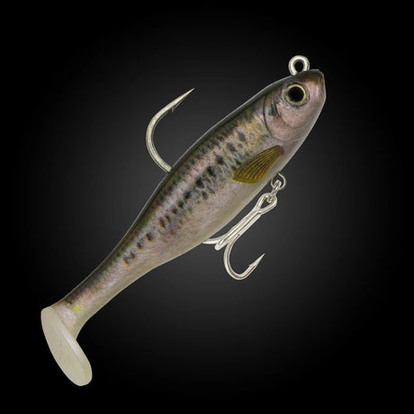 Fishcraft Dr Shad 125mm Rigged Soft Plastic