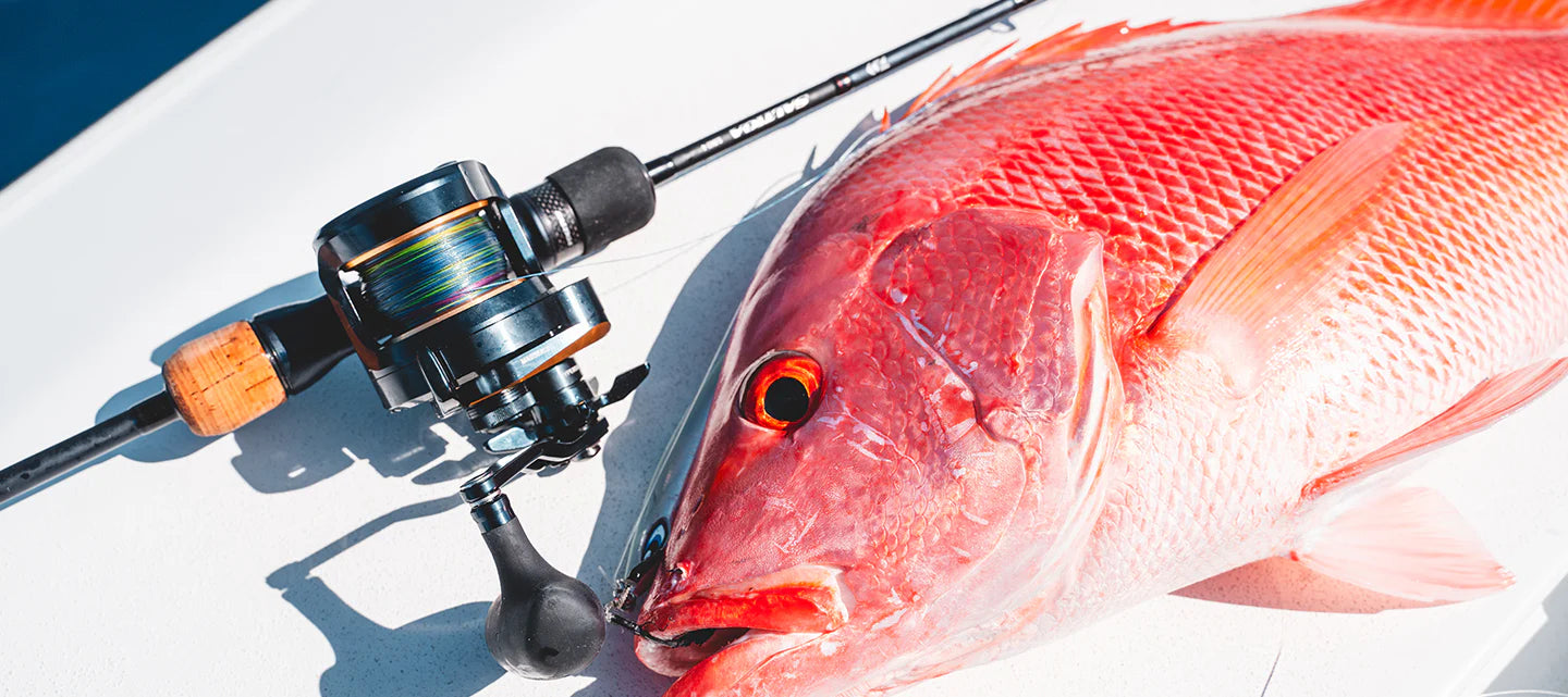 Daiwa 25 Saltiga 10H