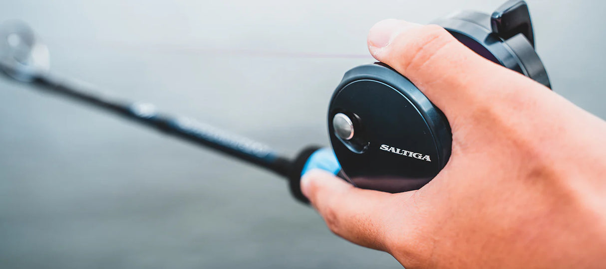 Daiwa 25 Saltiga 10H