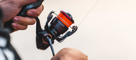 Daiwa Fuego LT Spin Reel