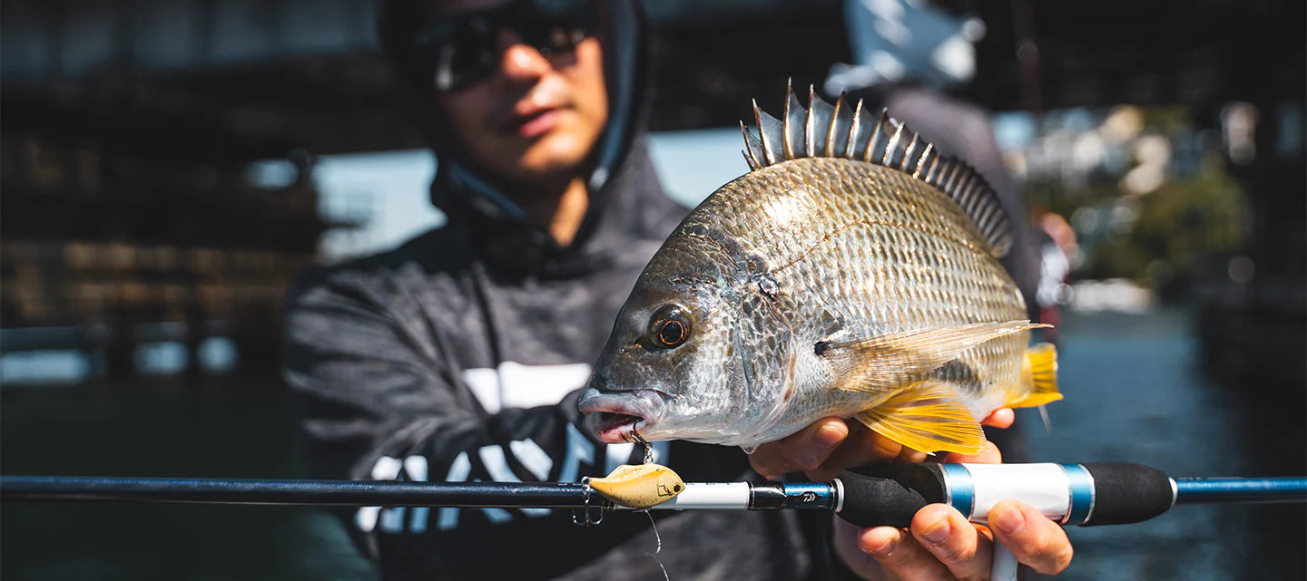 Daiwa Infeet Reflex 38s Lure