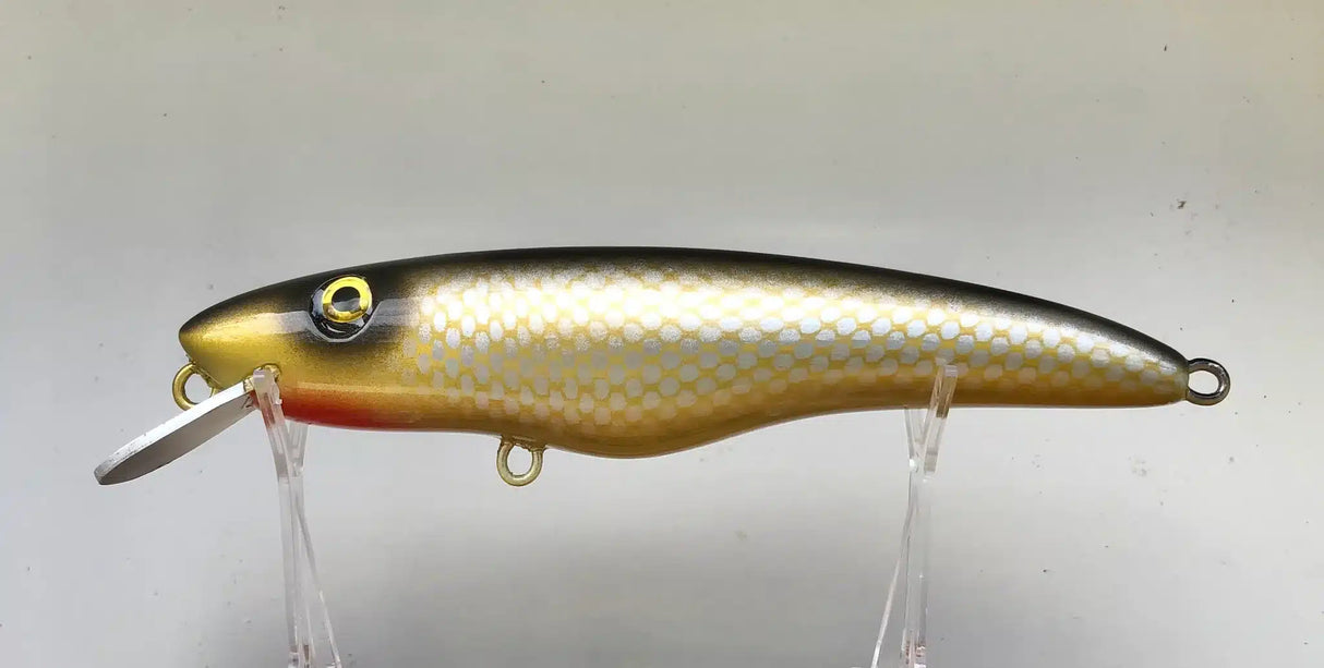 Croaker Jewie Jewel Hardbody