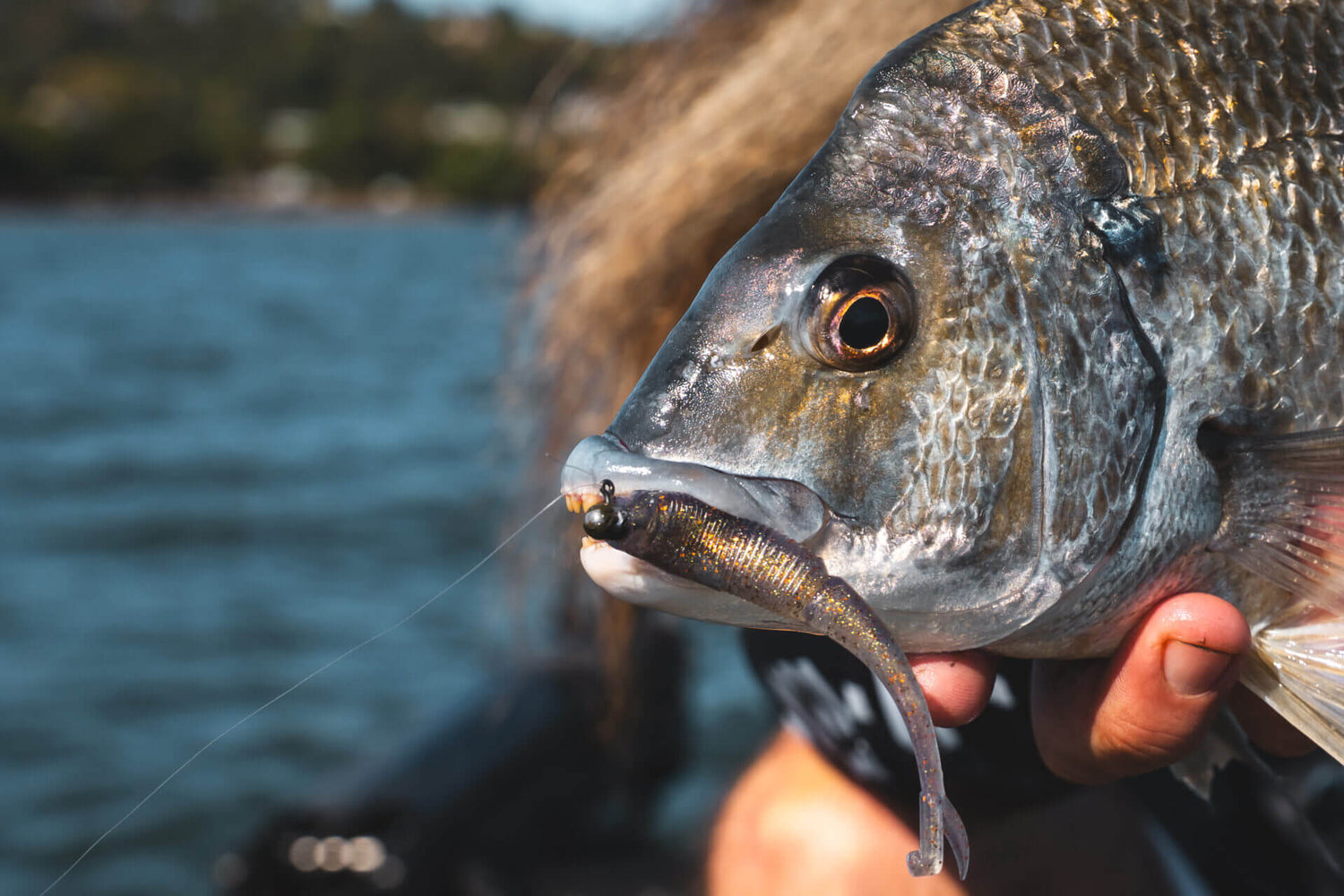 Daiwa Baitjunkie 395 Flick Soft Plastic