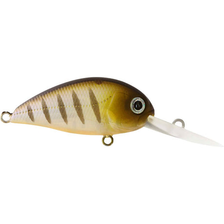 Atomic Hardz 38mm Crank Deep Diver Lure