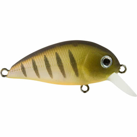 Atomic Hardz 38mm Crank Mid Diver Lure