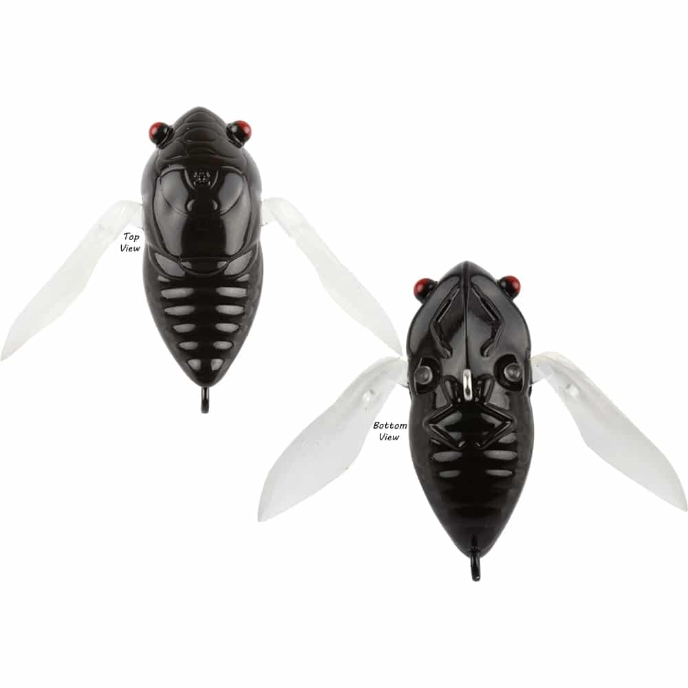 Atomic Hardz 35mm Cicada Lure
