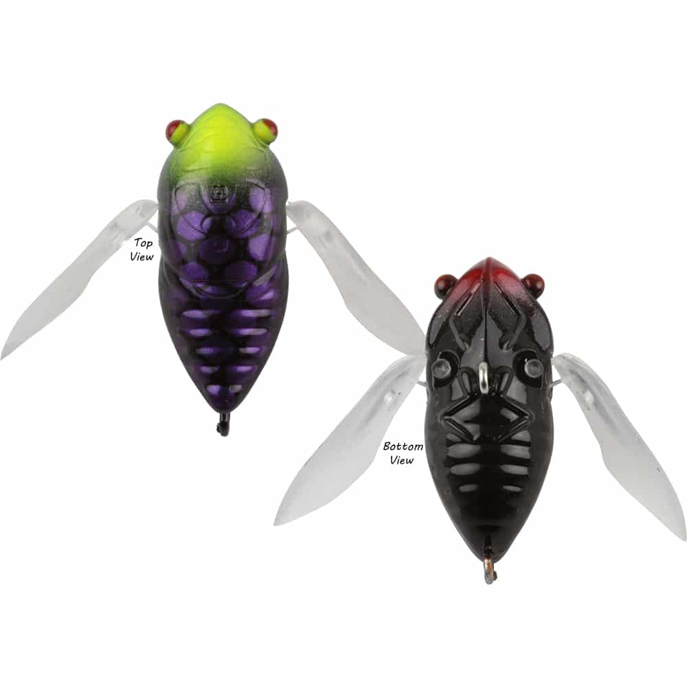 Atomic Hardz 35mm Cicada Lure