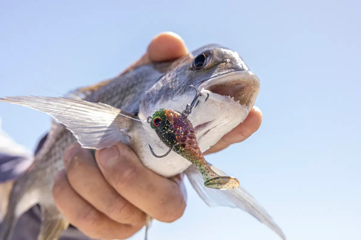 Berkley HoneyBall 90mm Rigged Soft Plastics