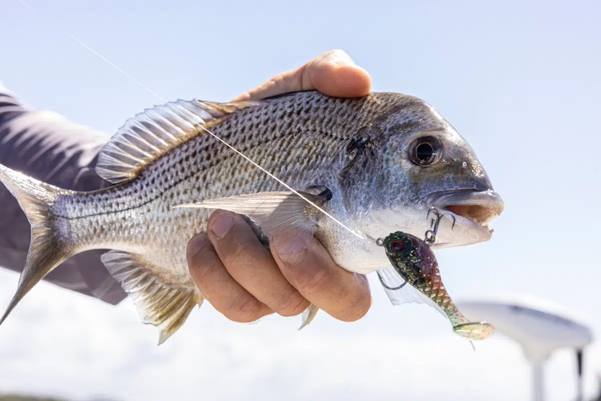 Berkley HoneyBall 120mm Rigged Soft Plastics