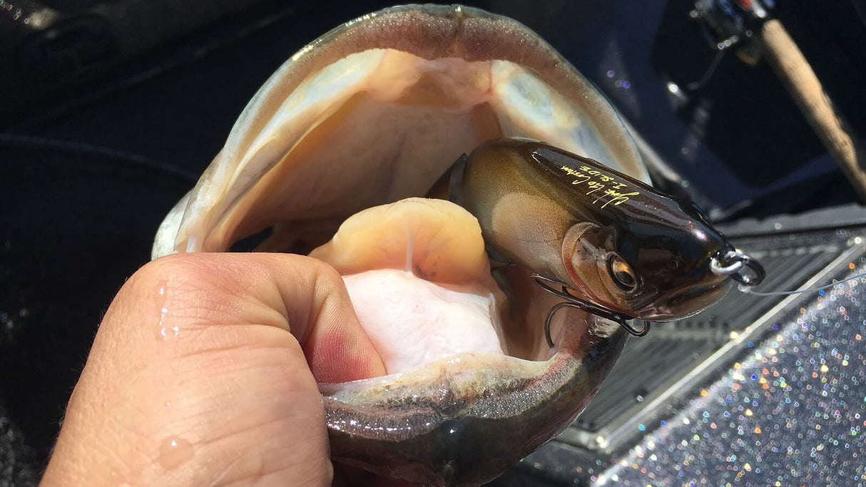 Megabass I-Slide 185mm Swimbait