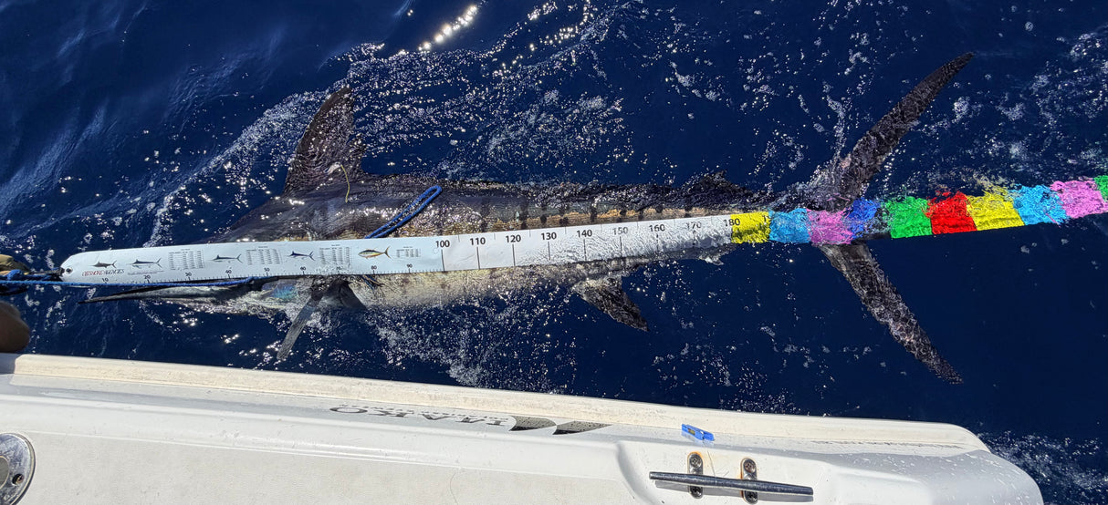 Offshore Pelagic 3m Measure Mat