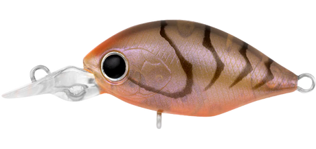 Daiwa Infeet Rollin Crank 32MR Lure