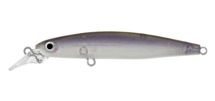 Daiwa Infeet Sazanami 60SP Lure