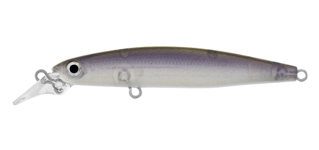 Daiwa Infeet Sazanami 60SP Lure
